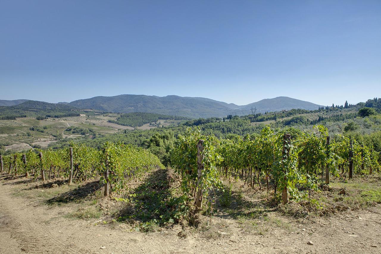 Agriturismo La Presura Strada in Chianti Exterior photo